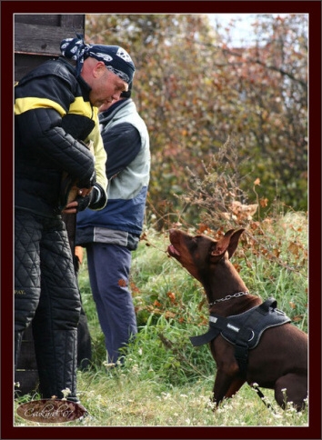 Training in Hungary 10/2007