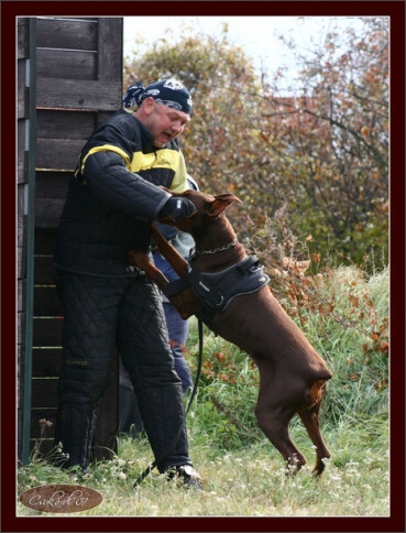 Training in Hungary 10/2007