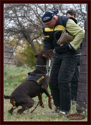 Training in Hungary 10/2007