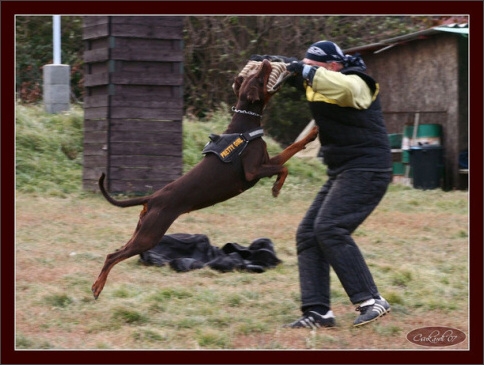 Training in Hungary 10/2007