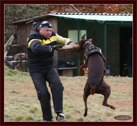 Training in Hungary 10/2007