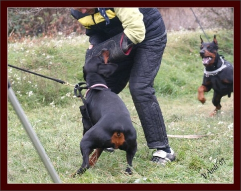 Training in Hungary 10/2007