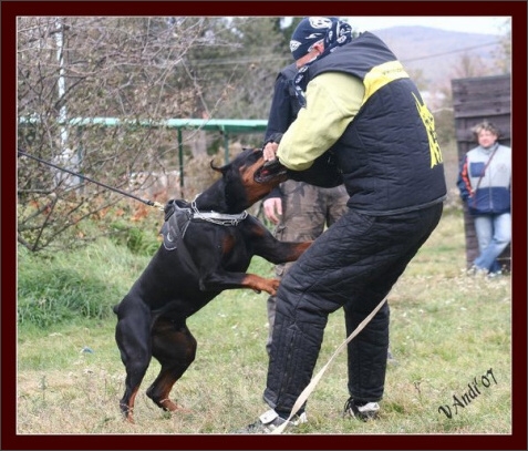 Training in Hungary 10/2007