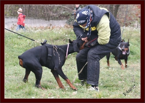 Training in Hungary 10/2007