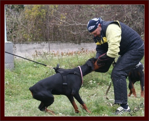 Training in Hungary 10/2007