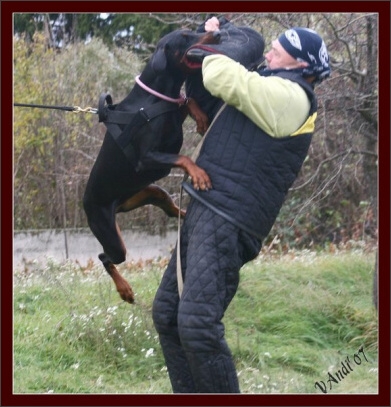 Training in Hungary 10/2007