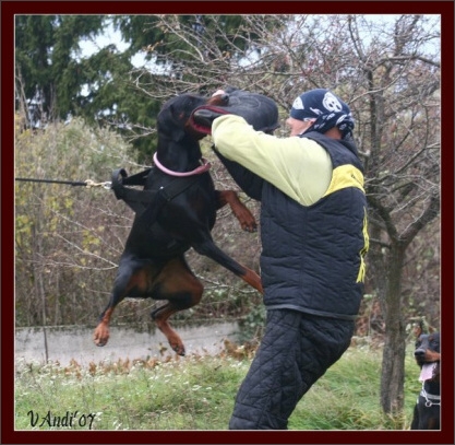 Training in Hungary 10/2007