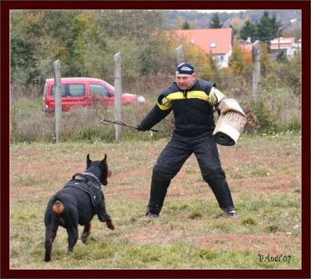 Training in Hungary 10/2007