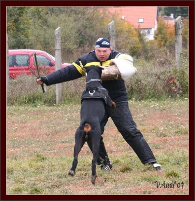 Training in Hungary 10/2007