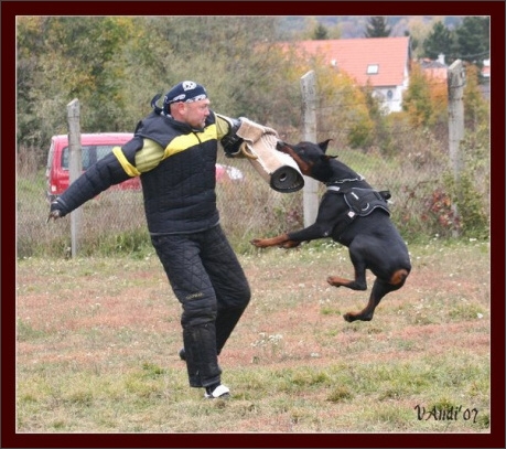 Training in Hungary 10/2007