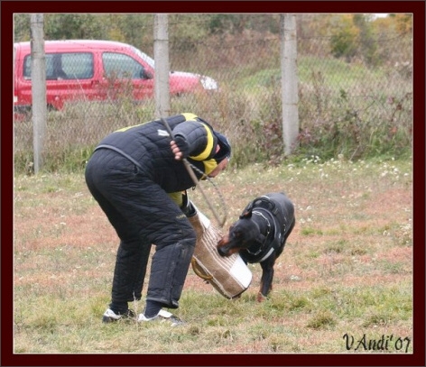 Training in Hungary 10/2007