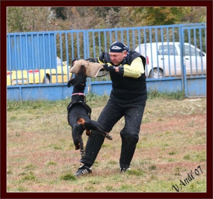 Training in Hungary 10/2007