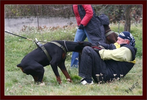 Training in Hungary 10/2007