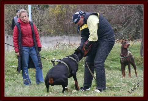 Training in Hungary 10/2007