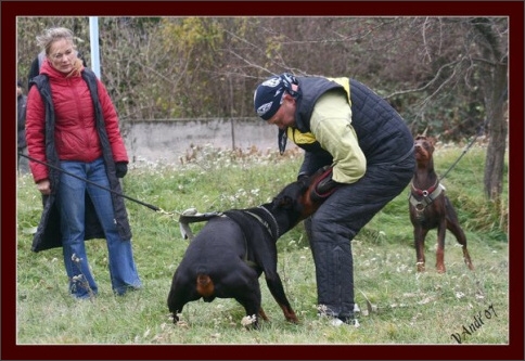 Training in Hungary 10/2007