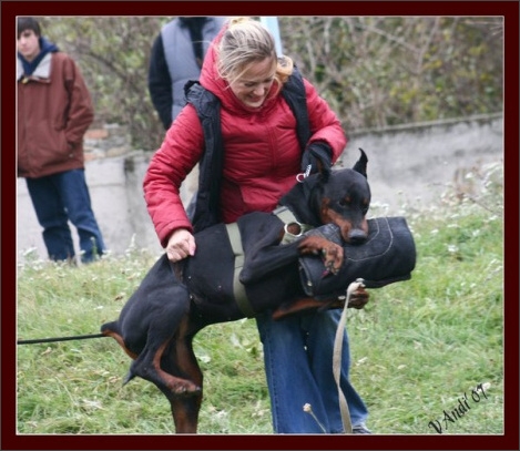 Training in Hungary 10/2007