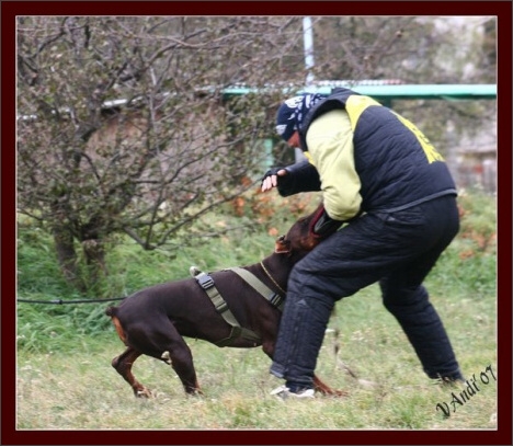 Training in Hungary 10/2007