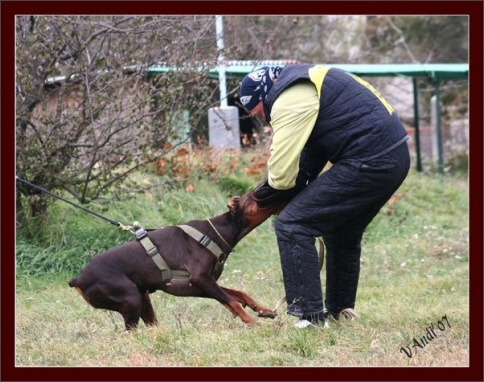 Training in Hungary 10/2007