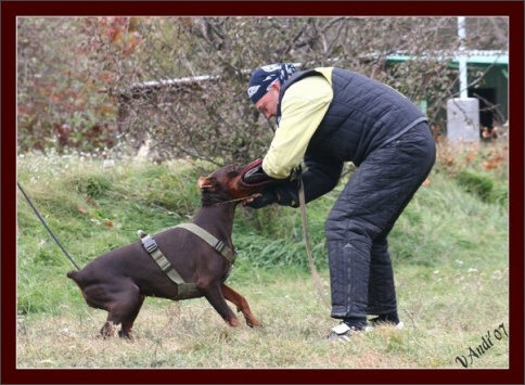 Training in Hungary 10/2007