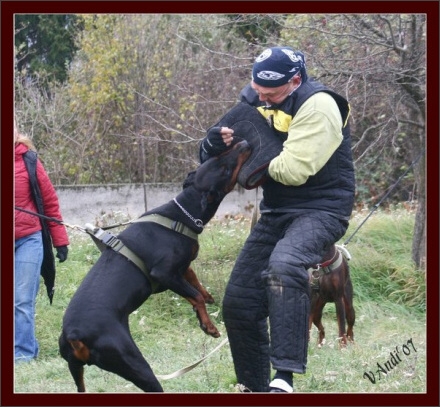 Training in Hungary 10/2007