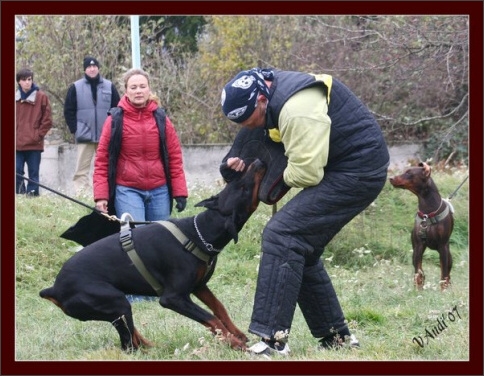 Training in Hungary 10/2007