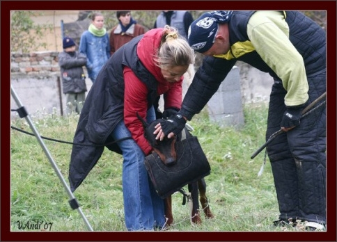 Training in Hungary 10/2007