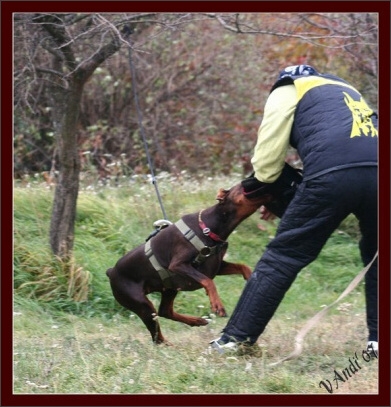 Training in Hungary 10/2007