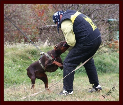 Training in Hungary 10/2007