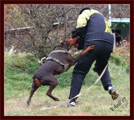 Training in Hungary 10/2007