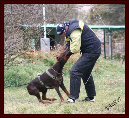 Training in Hungary 10/2007