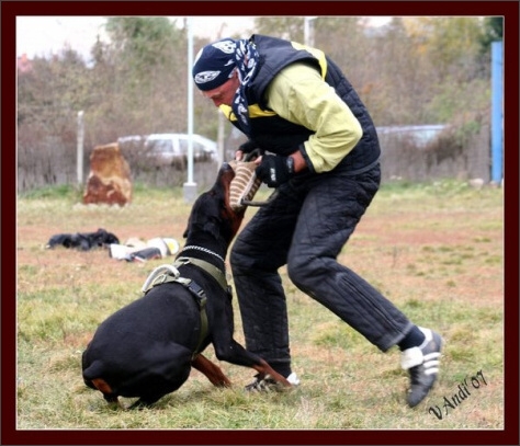 Training in Hungary 10/2007