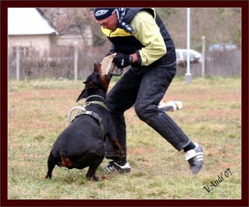 Training in Hungary 10/2007