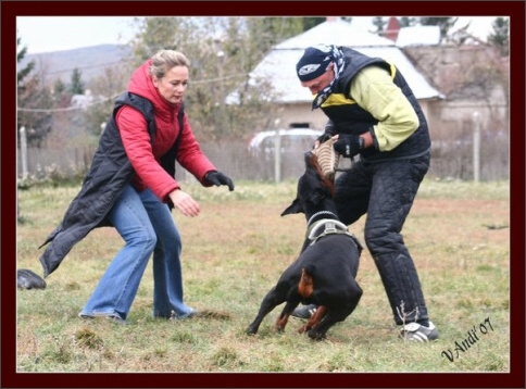 Training in Hungary 10/2007