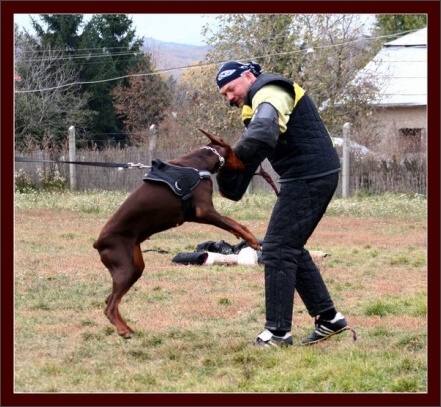 Training in Hungary 10/2007