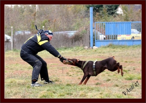 Training in Hungary 10/2007