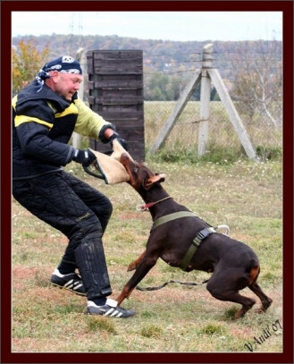 Training in Hungary 10/2007