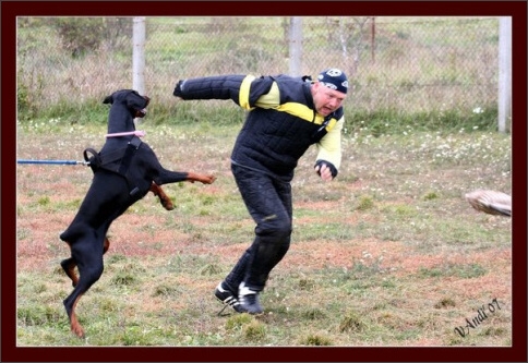 Training in Hungary 10/2007