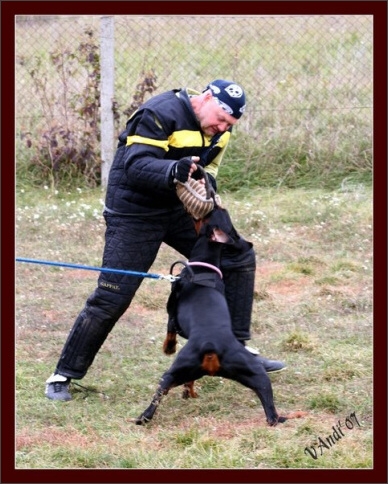 Training in Hungary 10/2007