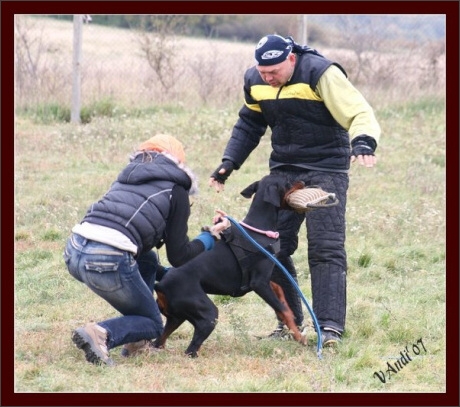 Training in Hungary 10/2007