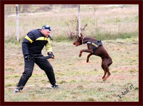 Training in Hungary 10/2007