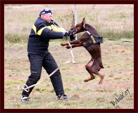 Training in Hungary 10/2007