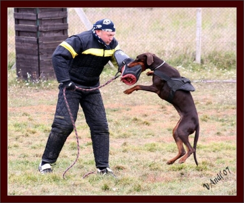 Training in Hungary 10/2007