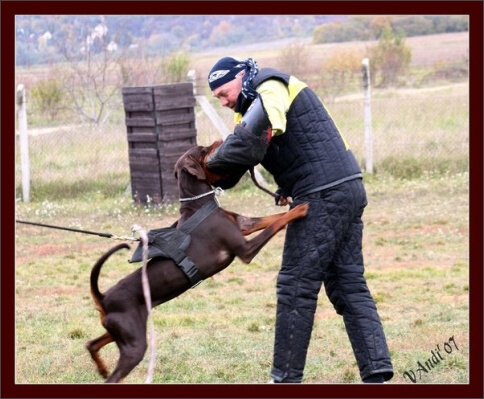 Training in Hungary 10/2007