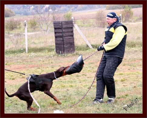 Training in Hungary 10/2007