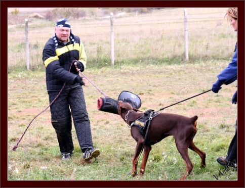 Training in Hungary 10/2007