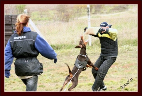 Training in Hungary 10/2007