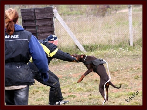 Training in Hungary 10/2007