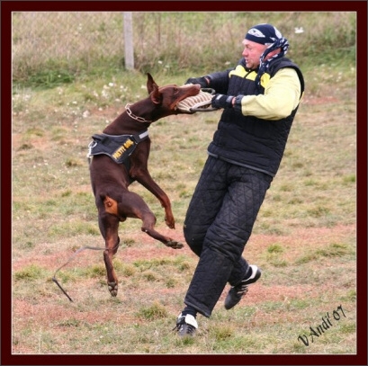 Training in Hungary 10/2007