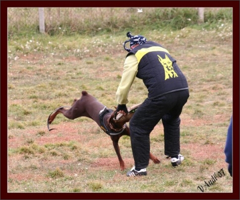 Training in Hungary 10/2007