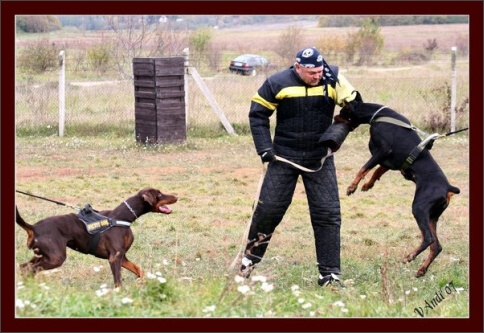 Training in Hungary 10/2007